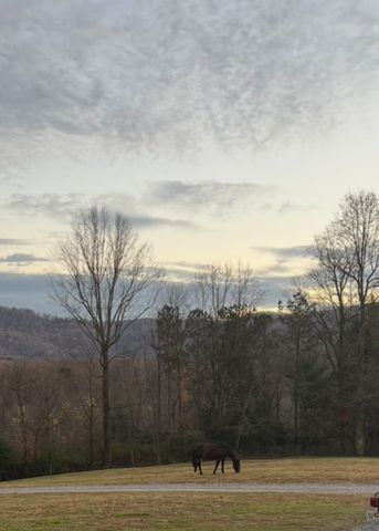 2086 Burnt Mountain Road, Ellijay, GA 30536