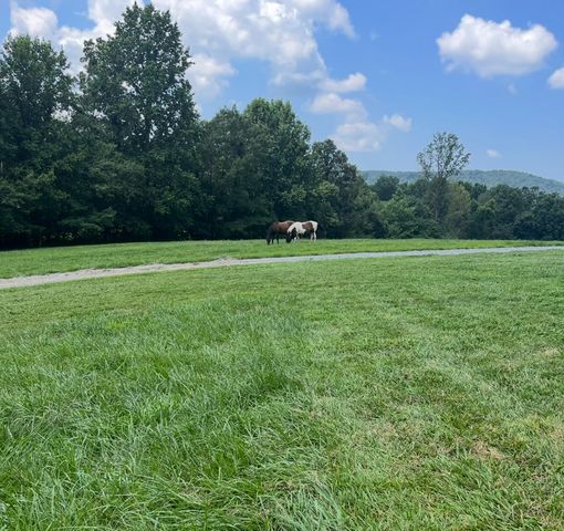 2086 Burnt Mountain Road, Ellijay, GA 30536