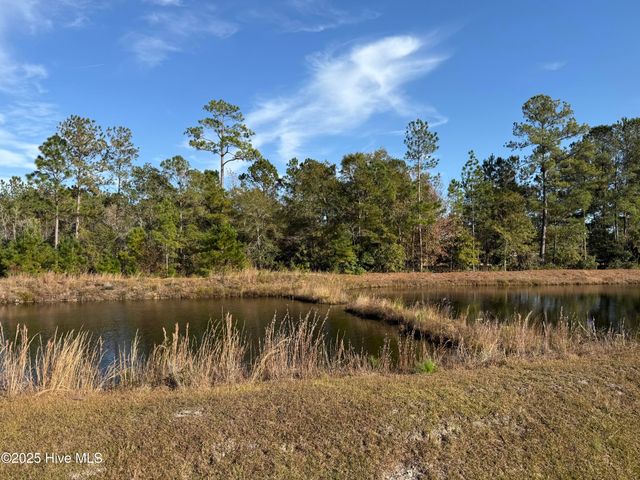 2112 Springstone Drive, Leland, NC 28451