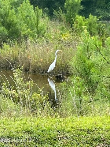 2112 Springstone Drive, Leland, NC 28451