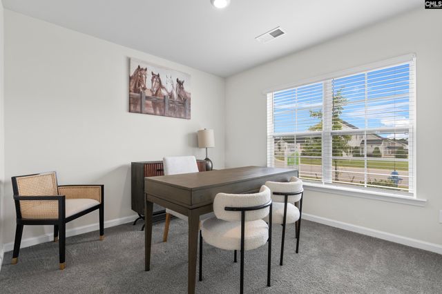 313 Star Capital Way, Pelion, SC 29123