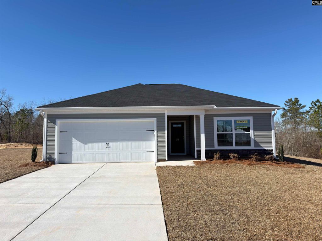 313 Star Capital Way, Pelion, SC 29123