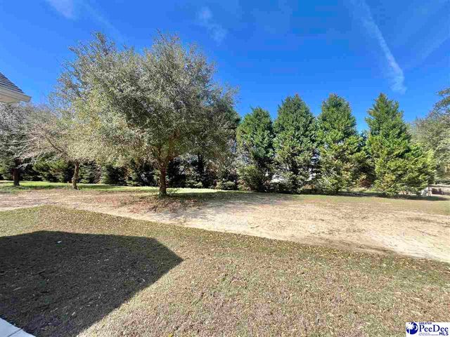 2204 Norwood Dr, Marion, SC 29571