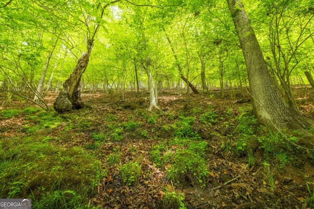 2.90 ACRES Galloway Road, Blue Ridge, GA 30513
