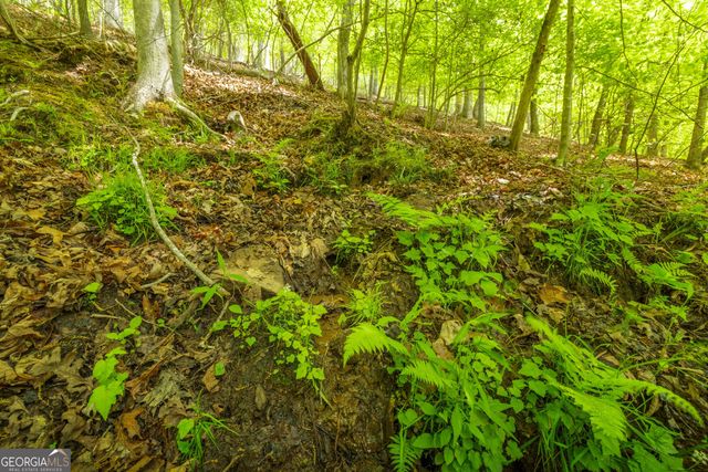 2.90 ACRES Galloway Road, Blue Ridge, GA 30513