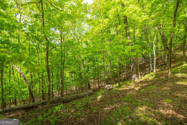 2.90 ACRES Galloway Road, Blue Ridge, GA 30513