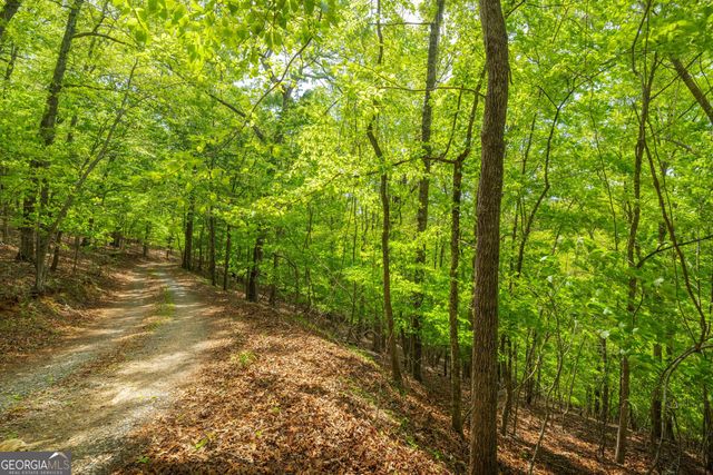 2.90 ACRES Galloway Road, Blue Ridge, GA 30513