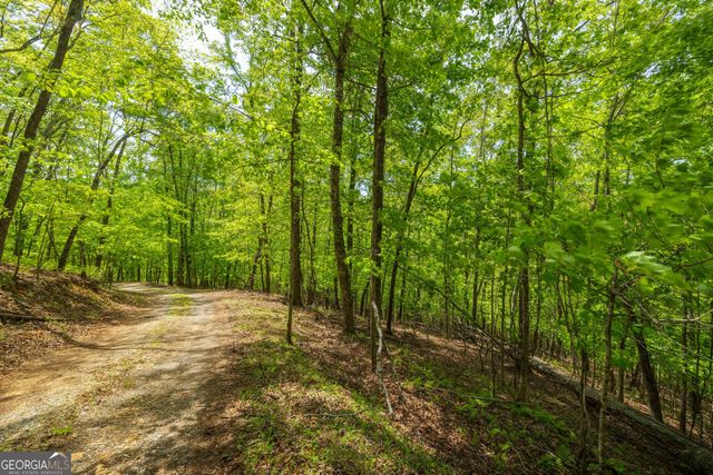 2.90 ACRES Galloway Road, Blue Ridge, GA 30513
