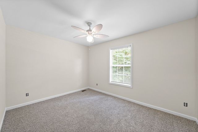 3325 Backridge Rd, Woodlawn, TN 37191