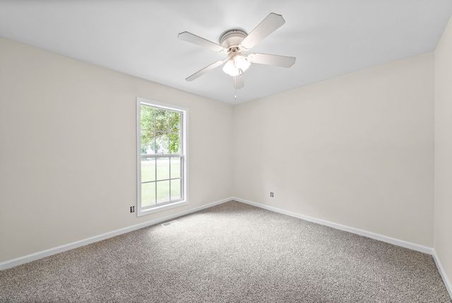 3325 Backridge Rd, Woodlawn, TN 37191
