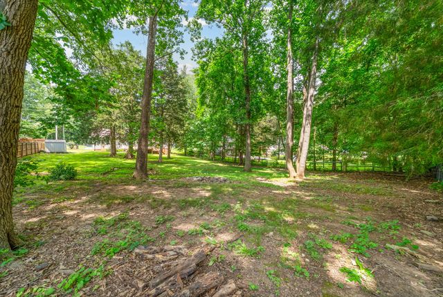 3325 Backridge Rd, Woodlawn, TN 37191