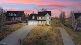 117 Barefoot Landing Drive, Blountville, TN 37617