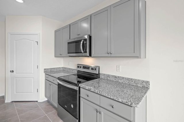 1217 ALSTONIA, Mount Dora, FL 32757