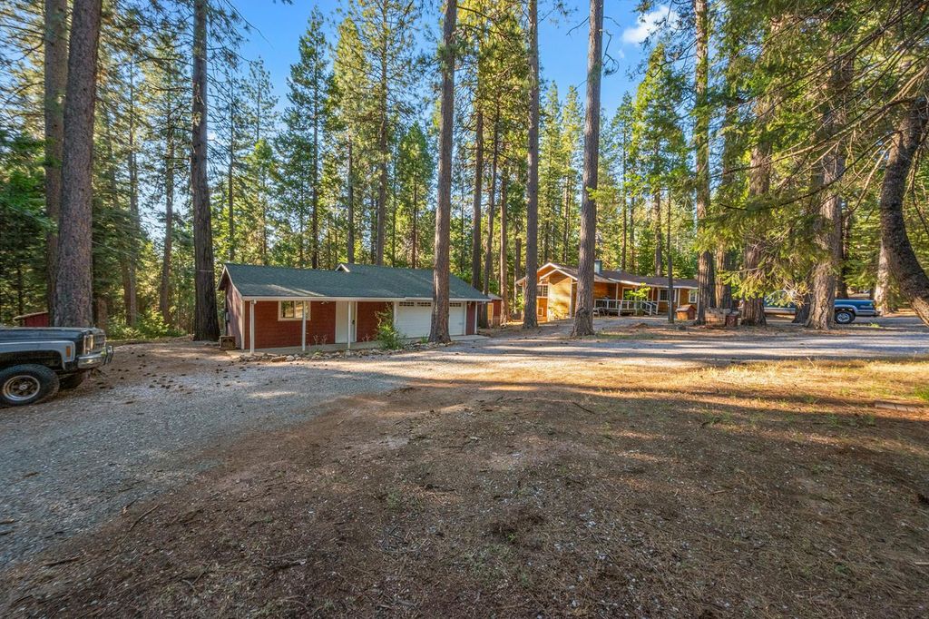 19499 Amador Ave, Pioneer, CA 95666