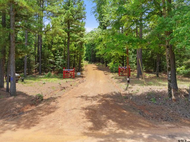 13620 County road 4224, Frankston, TX 75763