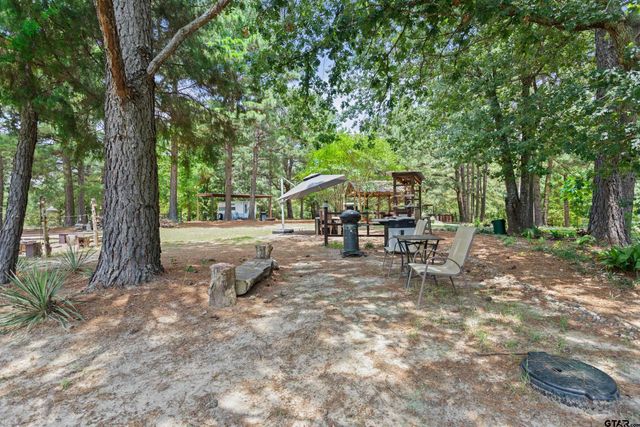 13620 County road 4224, Frankston, TX 75763