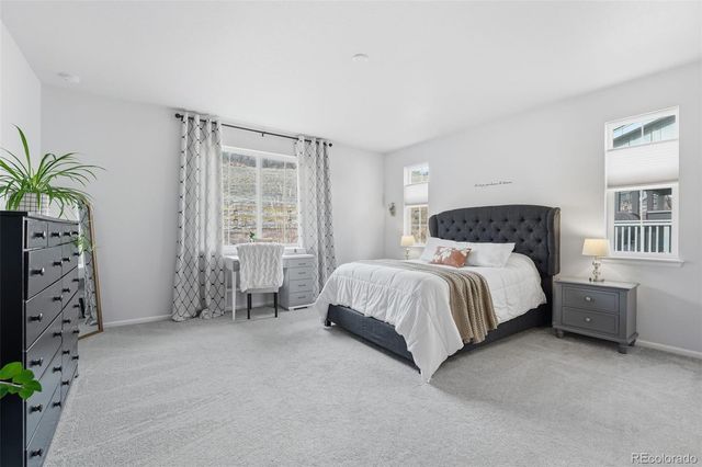 865 Oleander Street, Castle Rock, CO 80109