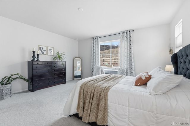 865 Oleander Street, Castle Rock, CO 80109