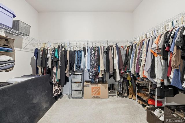 865 Oleander Street, Castle Rock, CO 80109