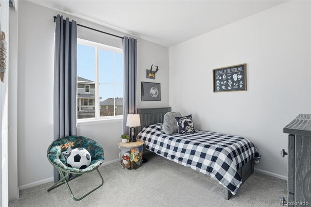 865 Oleander Street, Castle Rock, CO 80109