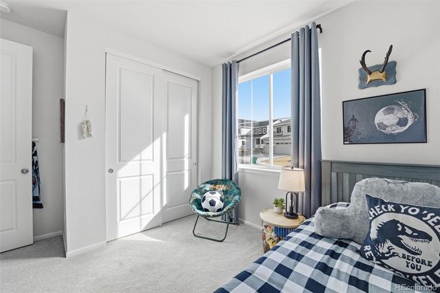 865 Oleander Street, Castle Rock, CO 80109