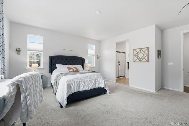 865 Oleander Street, Castle Rock, CO 80109