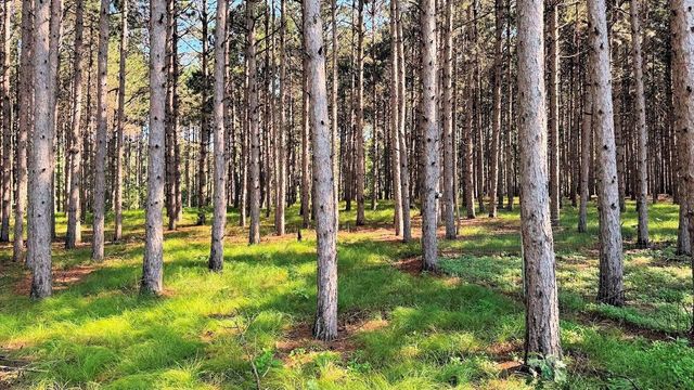 858 S Grouse Court, Wisconsin Dells, WI 53965