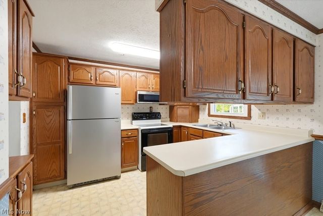 10007 Patton Street, Twinsburg, OH 44087