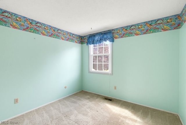 10007 Patton Street, Twinsburg, OH 44087