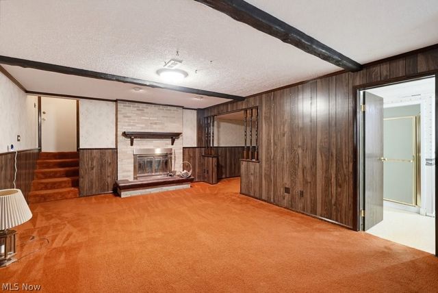 10007 Patton Street, Twinsburg, OH 44087