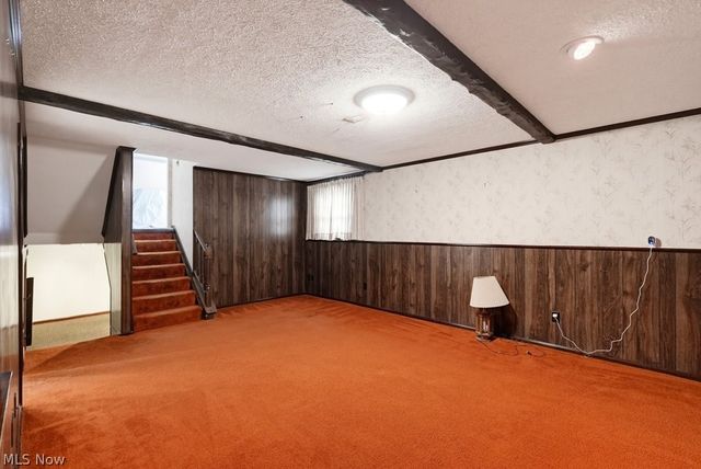 10007 Patton Street, Twinsburg, OH 44087