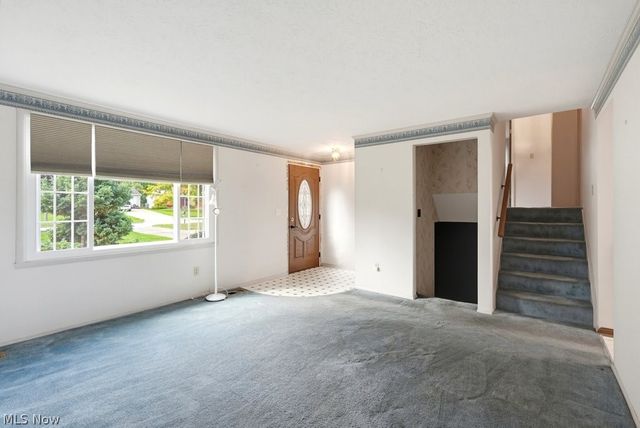 10007 Patton Street, Twinsburg, OH 44087