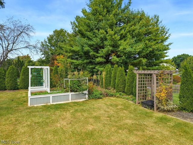10007 Patton Street, Twinsburg, OH 44087