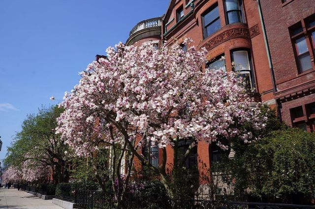 183 Commonwealth Ave. PH, Boston, MA 02116