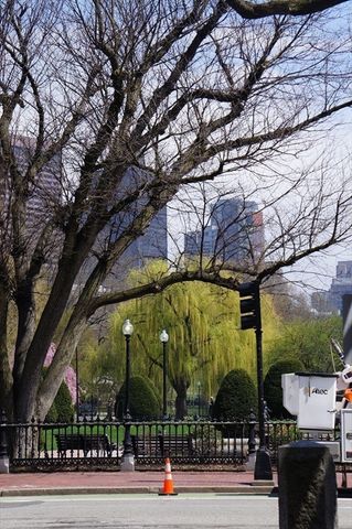 183 Commonwealth Ave. PH, Boston, MA 02116