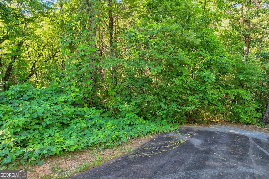 LOT 112 Timber Creek Drive, Clayton, GA 30525