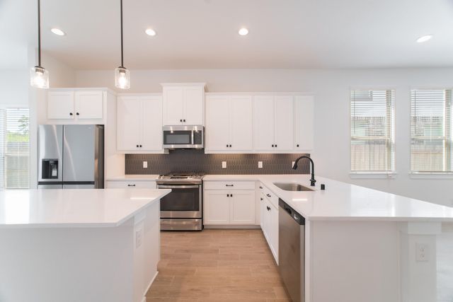 10566 Wild Chives, Conroe, TX 77385