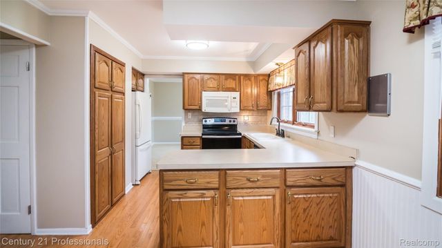 21824 RATHLONE Drive S, Novi, MI 48167