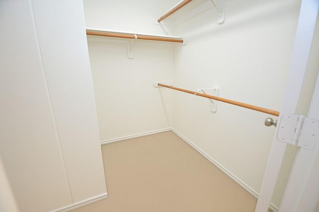 226 W Stedhill Loop, Conroe, TX 77384