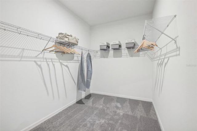 12886 TROVITA DRIVE, Grand Island, FL 32735