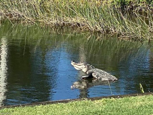 10350 Washingtonia Palm WAY 4223, Fort Myers, FL 33966