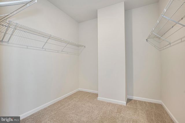 857 AMITY ST, Frederick, MD 21701