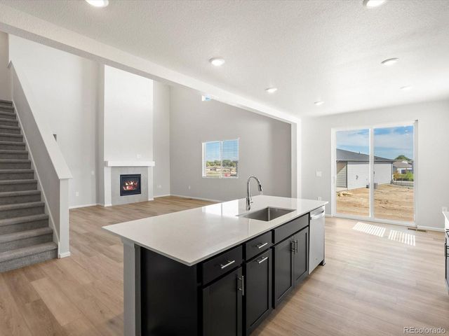 1637 Yampa River Dr, Windsor, CO 80550