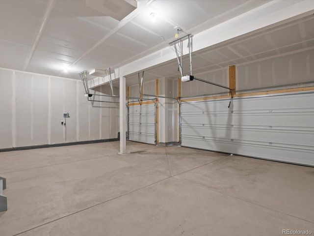 1637 Yampa River Dr, Windsor, CO 80550