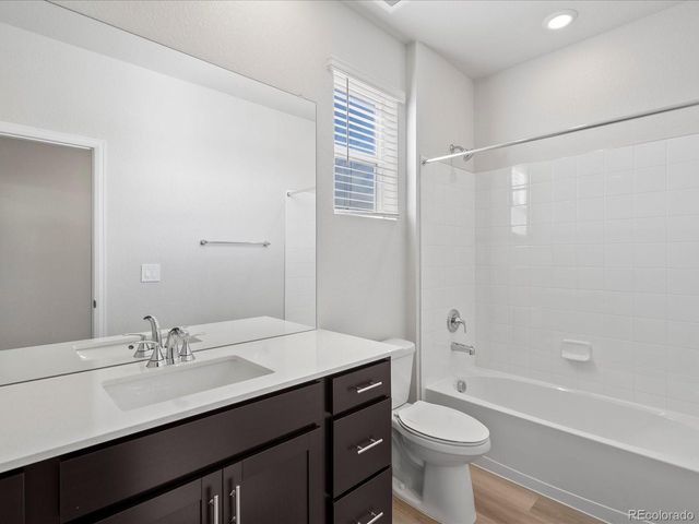 1637 Yampa River Dr, Windsor, CO 80550