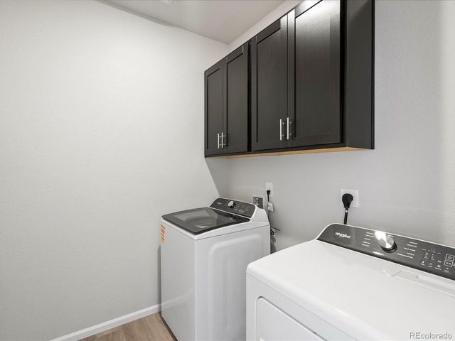 1637 Yampa River Dr, Windsor, CO 80550