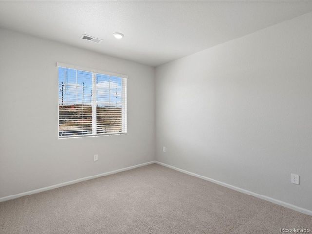 1637 Yampa River Dr, Windsor, CO 80550