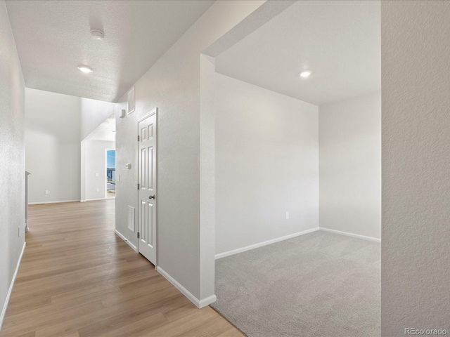 1637 Yampa River Dr, Windsor, CO 80550