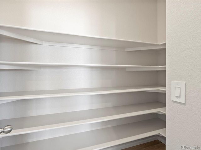 1637 Yampa River Dr, Windsor, CO 80550