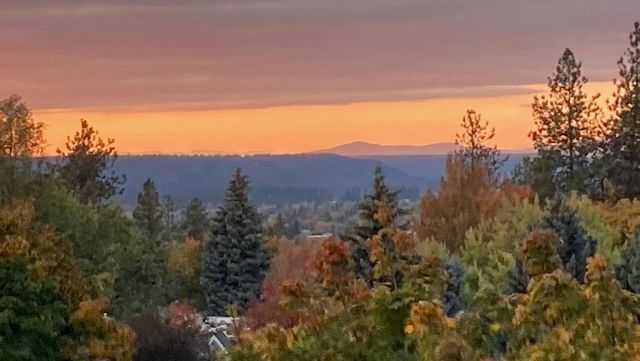 844 W Cliff Dr, Spokane, WA 99204